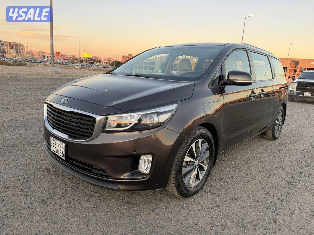 كرنفال 2018 شرط فحص والنظافه2