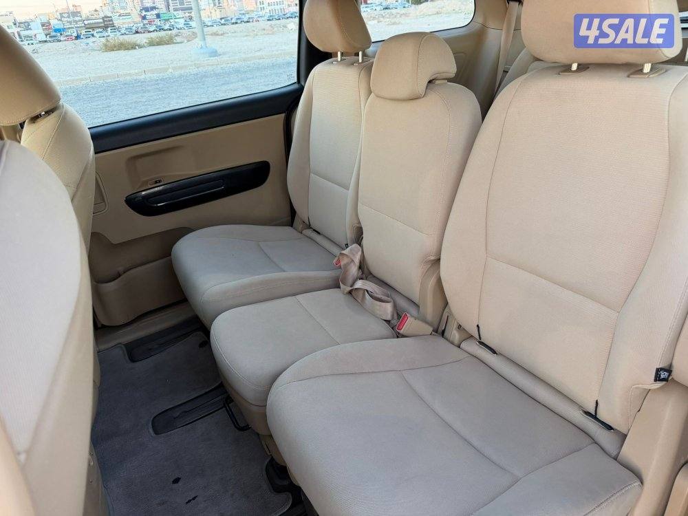 كرنفال 2018 شرط فحص والنظافه5