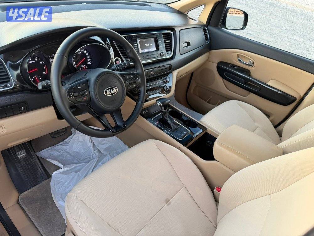 كرنفال 2018 شرط فحص والنظافه6