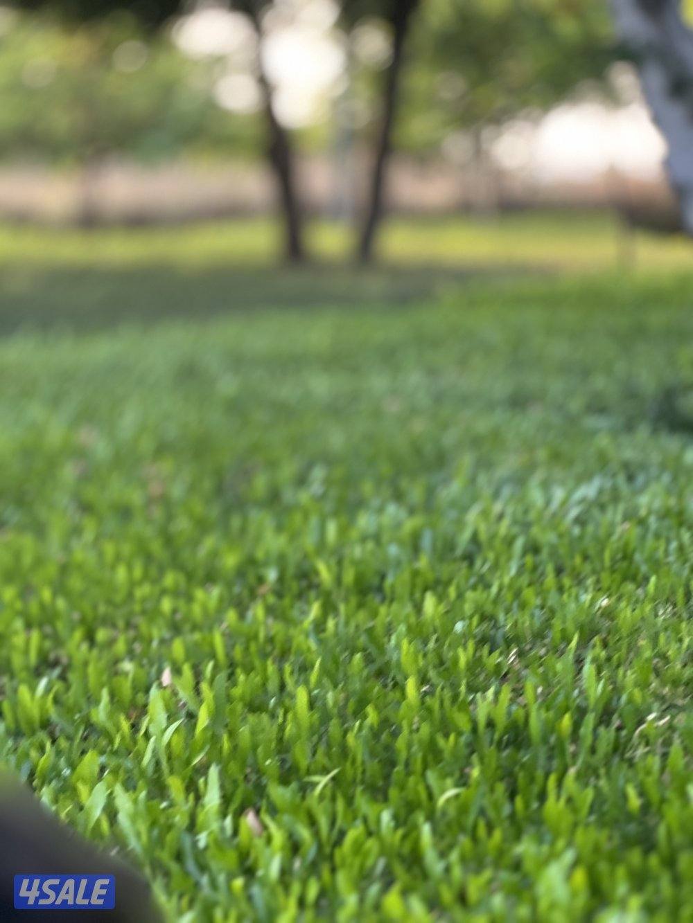 مطلوب عمارة للبيع والدفع كاش2