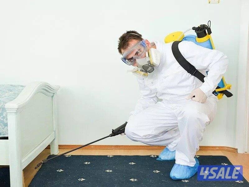 مكافحة حشرات وقوارض جميع مناطق الكويت خدمه 24ساعه  ارخص الأسعار 🇰🇼1