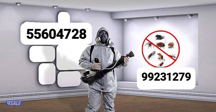 مكافحة حشرات وقوارض جميع مناطق الكويت خدمه 24ساعه  ارخص الأسعار 🇰🇼4