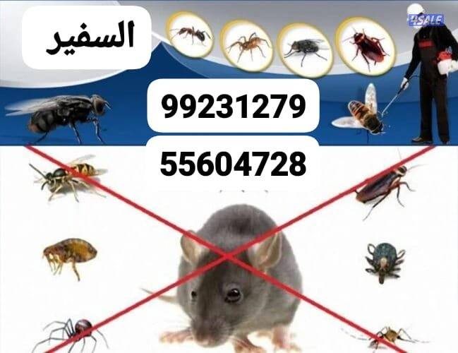 مكافحة حشرات وقوارض جميع مناطق الكويت خدمه 24ساعه  ارخص الأسعار 🇰🇼3