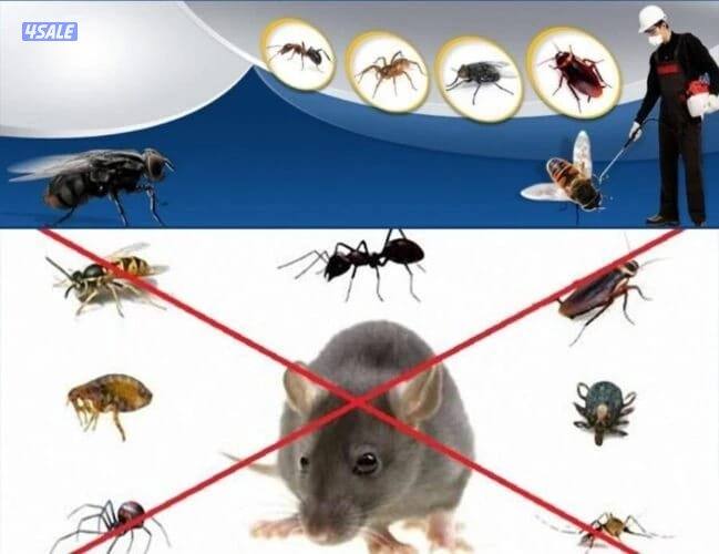 مكافحة حشرات وقوارض جميع مناطق الكويت خدمه 24ساعه  ارخص الأسعار 🇰🇼5