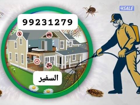 مكافحة حشرات وقوارض جميع مناطق الكويت خدمه 24ساعه  ارخص الأسعار 🇰🇼6