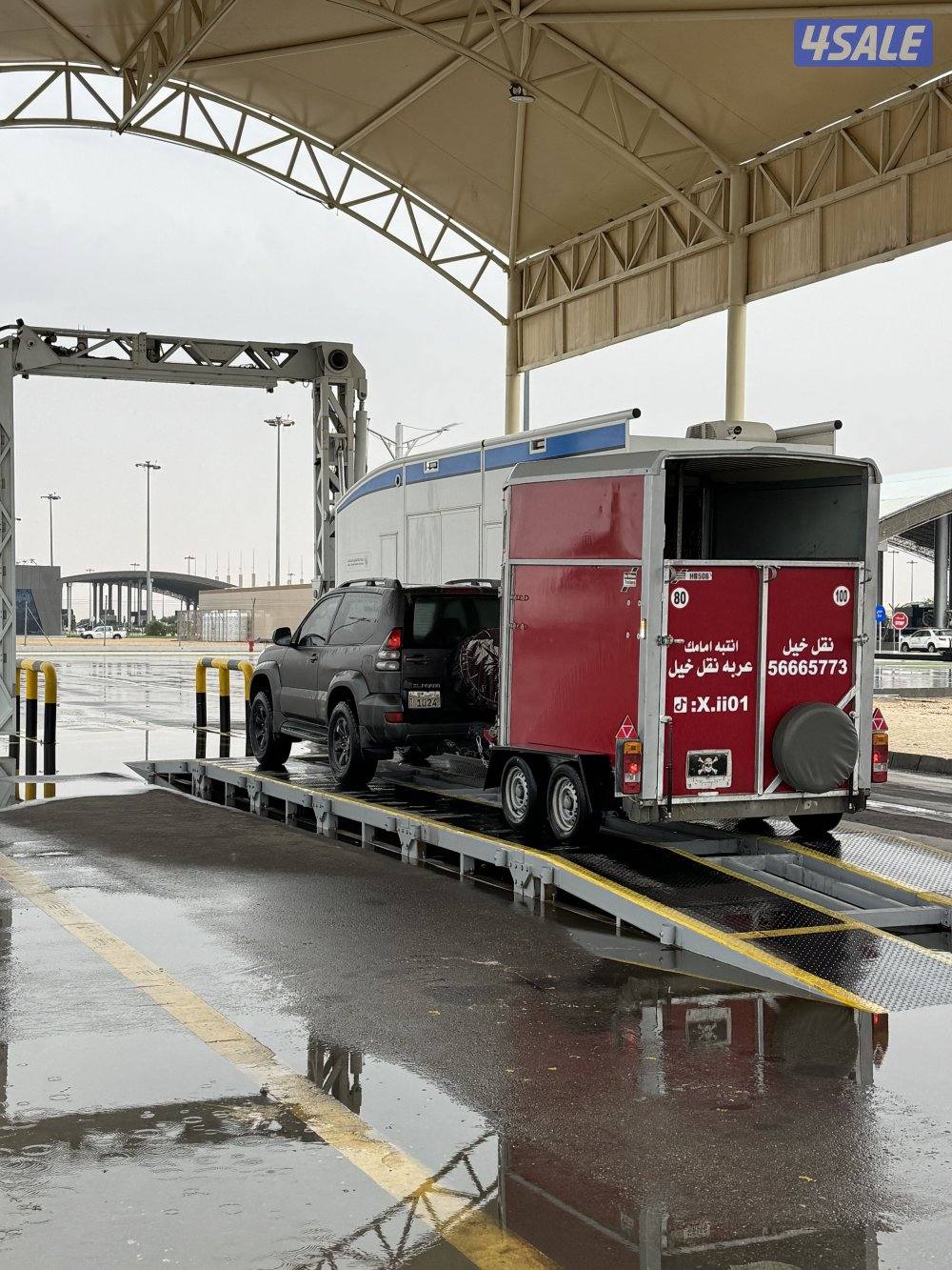 نقل خيل داخل وخارج الكويت 🔥2