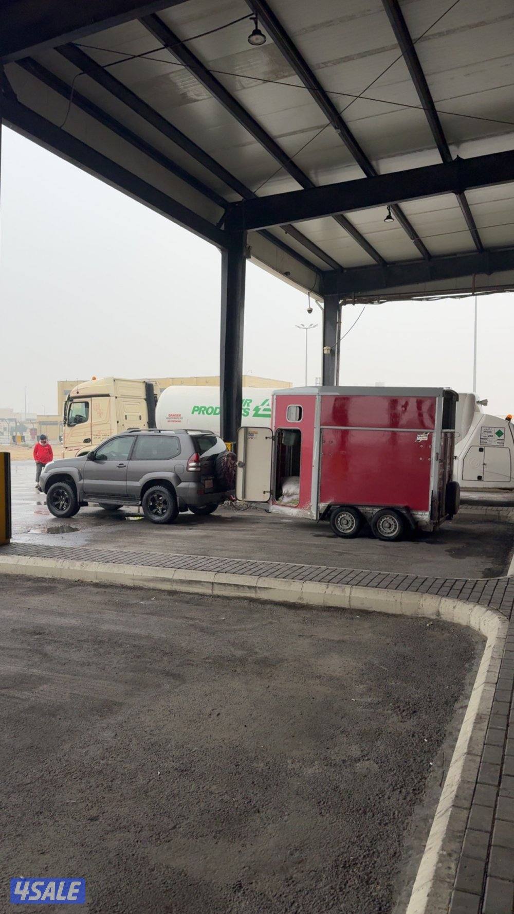 نقل خيل داخل وخارج الكويت 🔥3