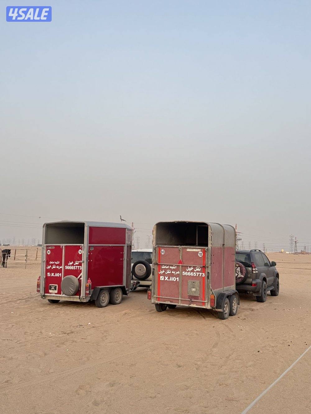 نقل خيل داخلي وخارجي0