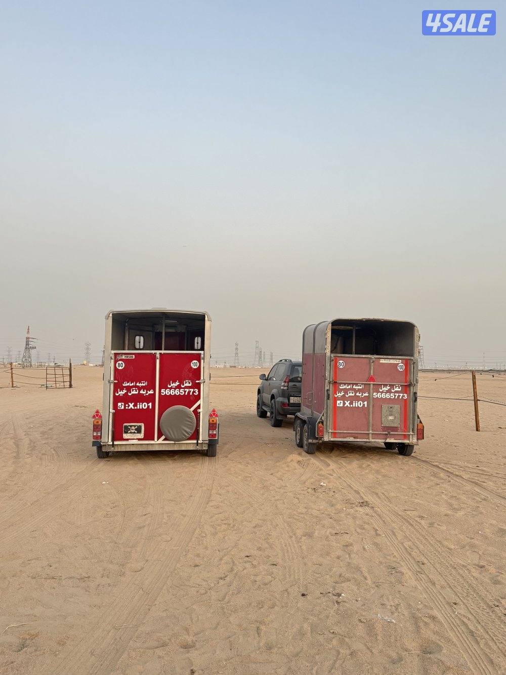 نقل خيل داخلي وخارجي1