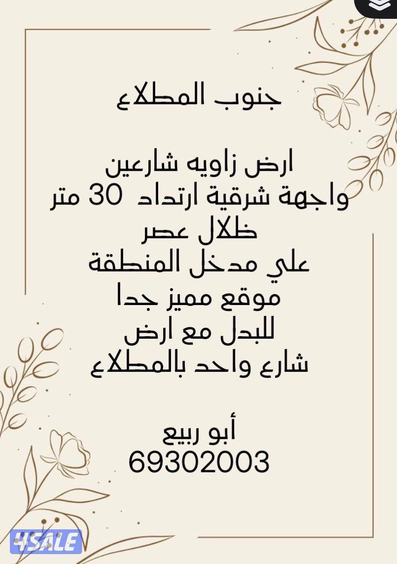 بطن وظهر مع طلب 20041