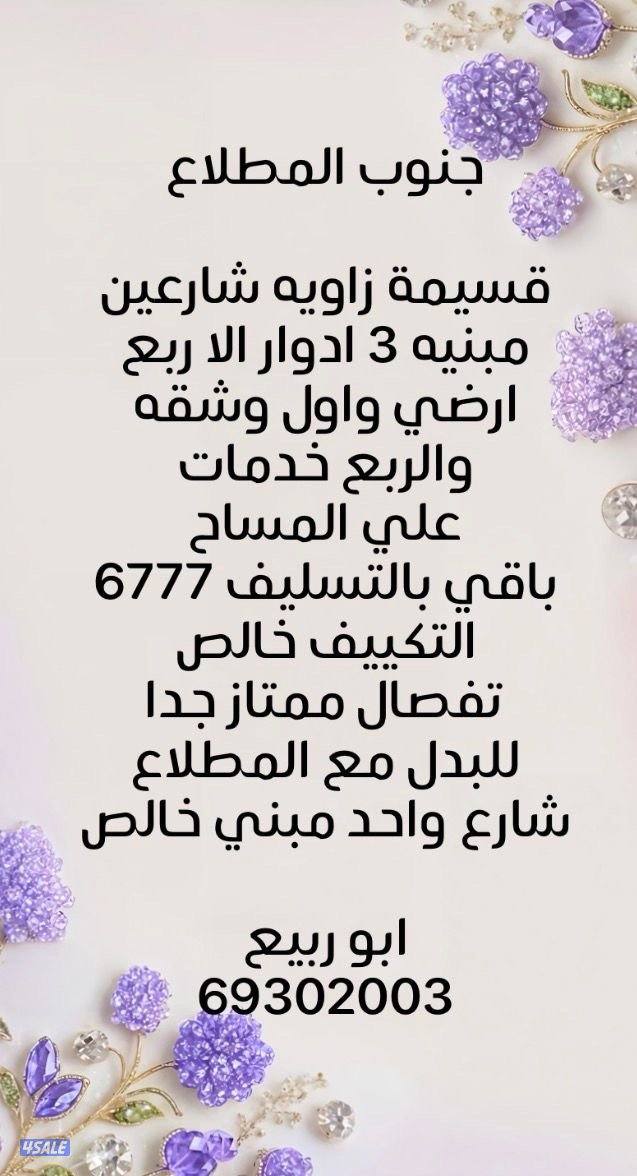 بطن وظهر مع طلب 20042