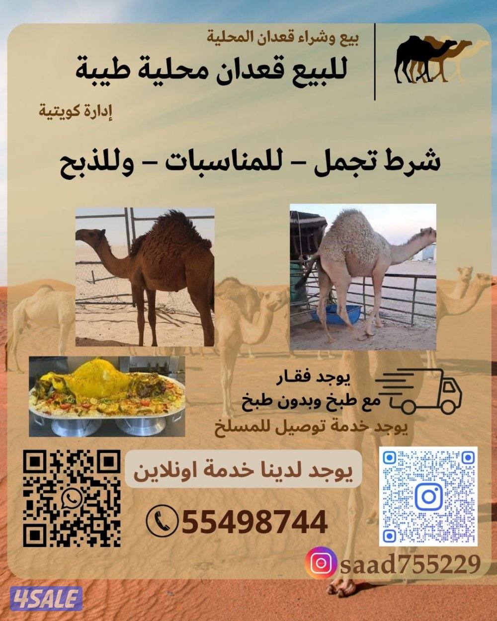 قعدان محليه شرط تجمل وفاخر 🛑احذر من الفتشوب0