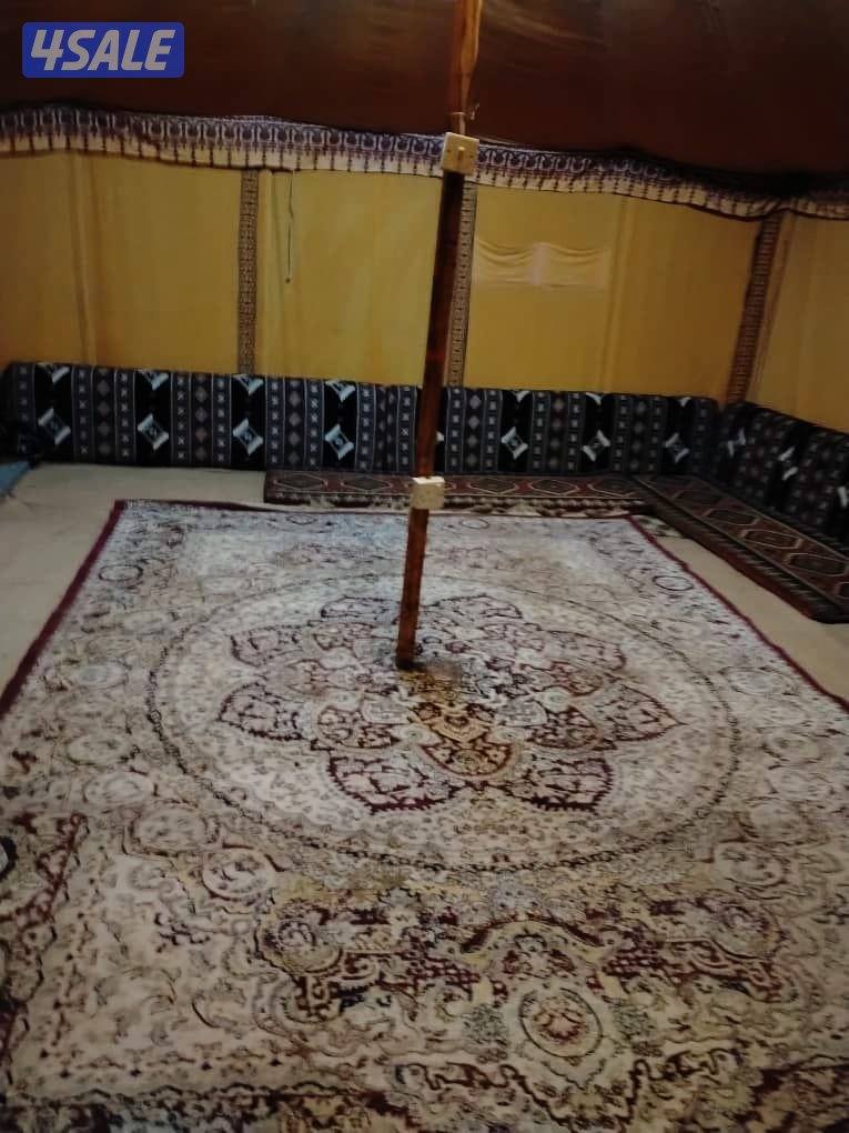 مخيم للايجار3