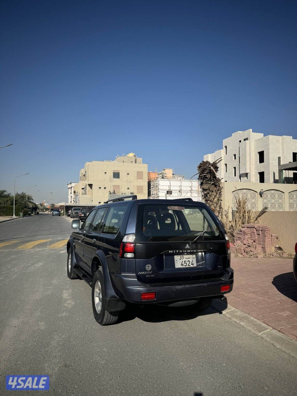 نتيفيا2008 صبغ وكاله1