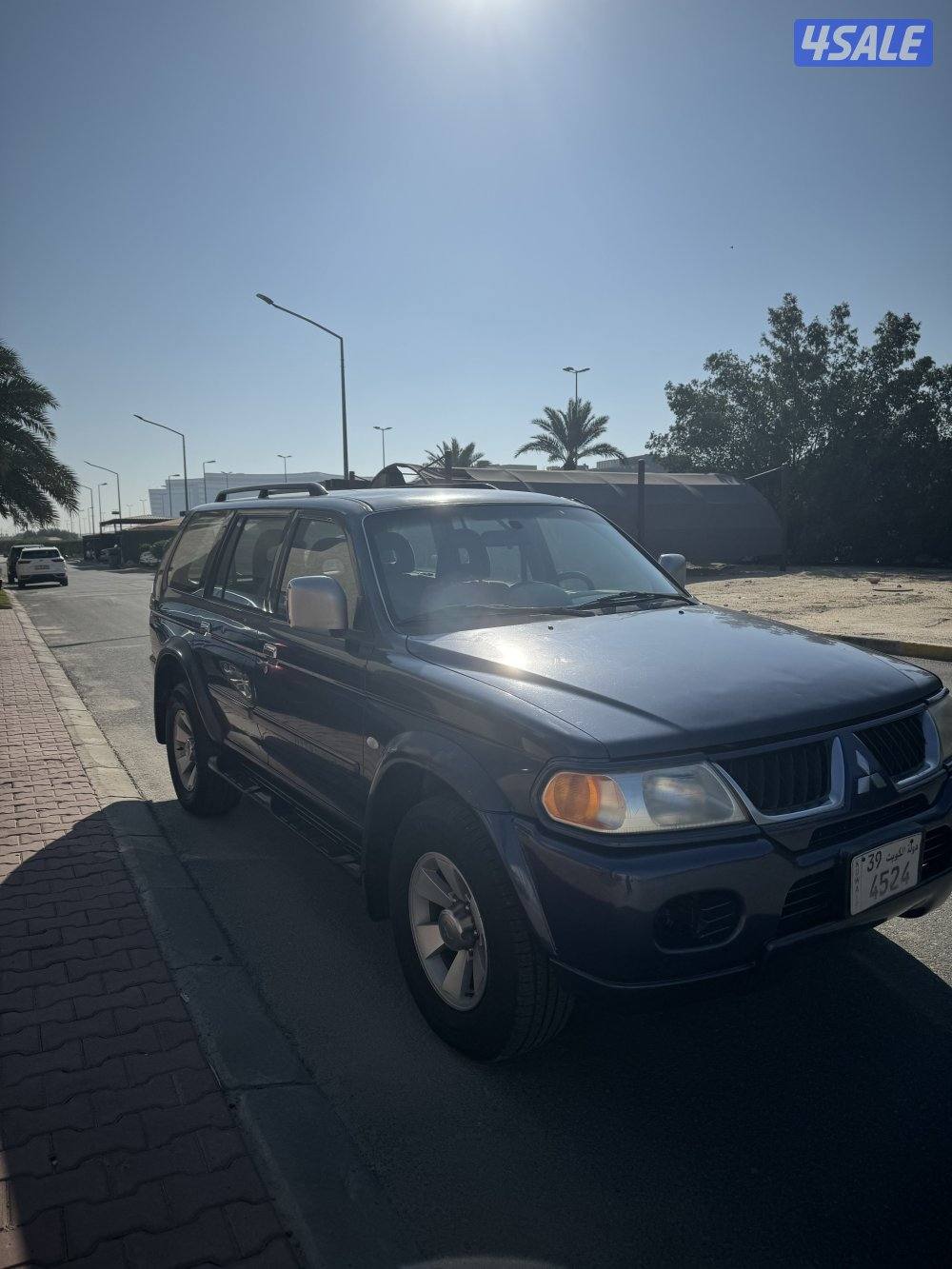 نتيفيا2008 صبغ وكاله2