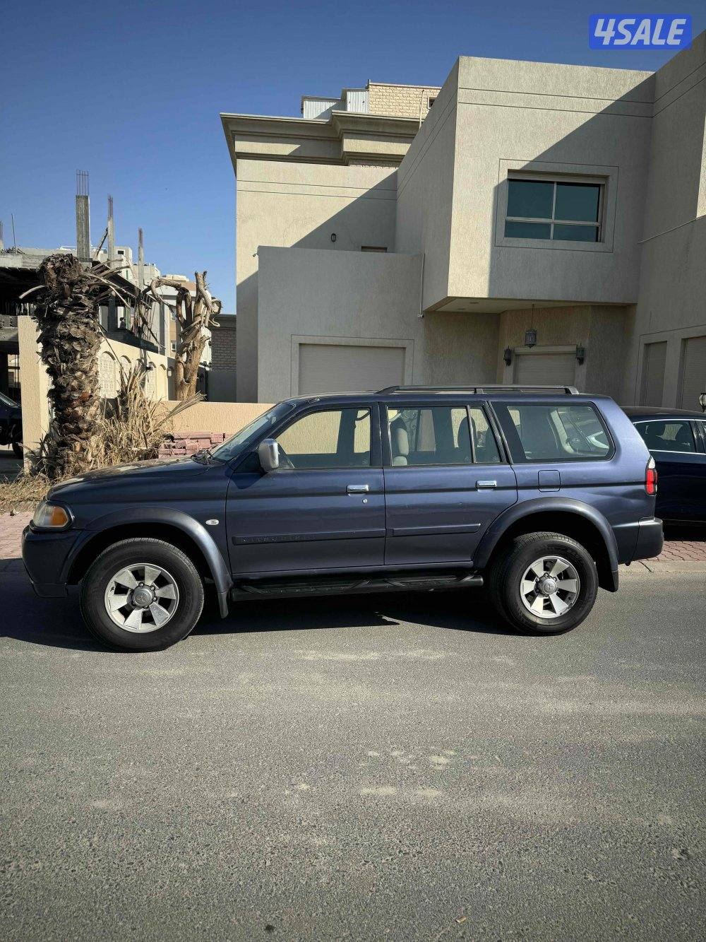 نتيفيا2008 صبغ وكاله3