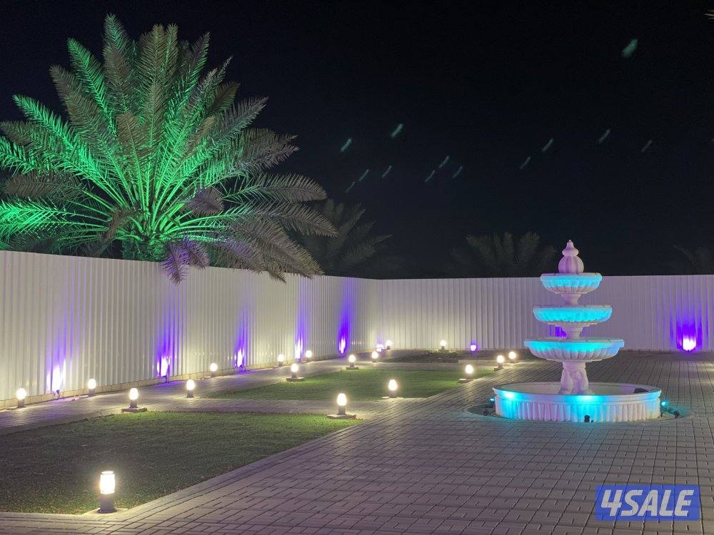 مزارع الوفرة1