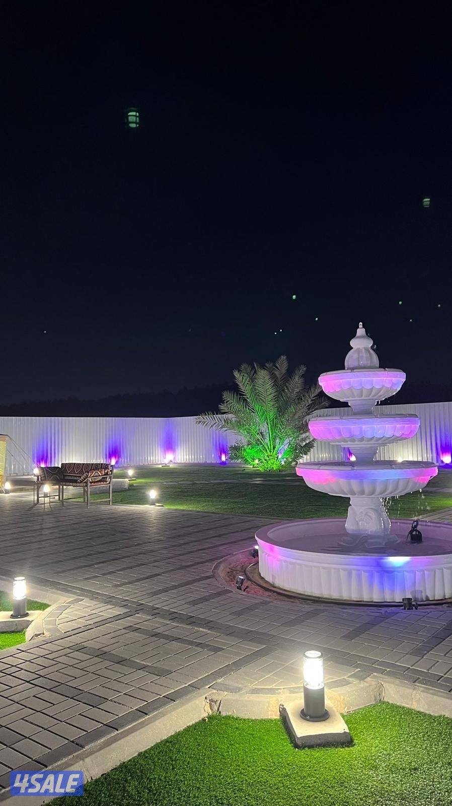 مزارع الوفرة4