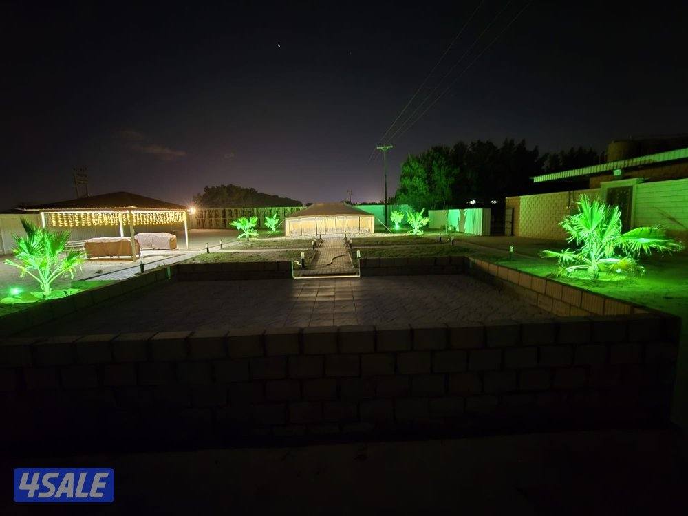 مزارع الوفرة6