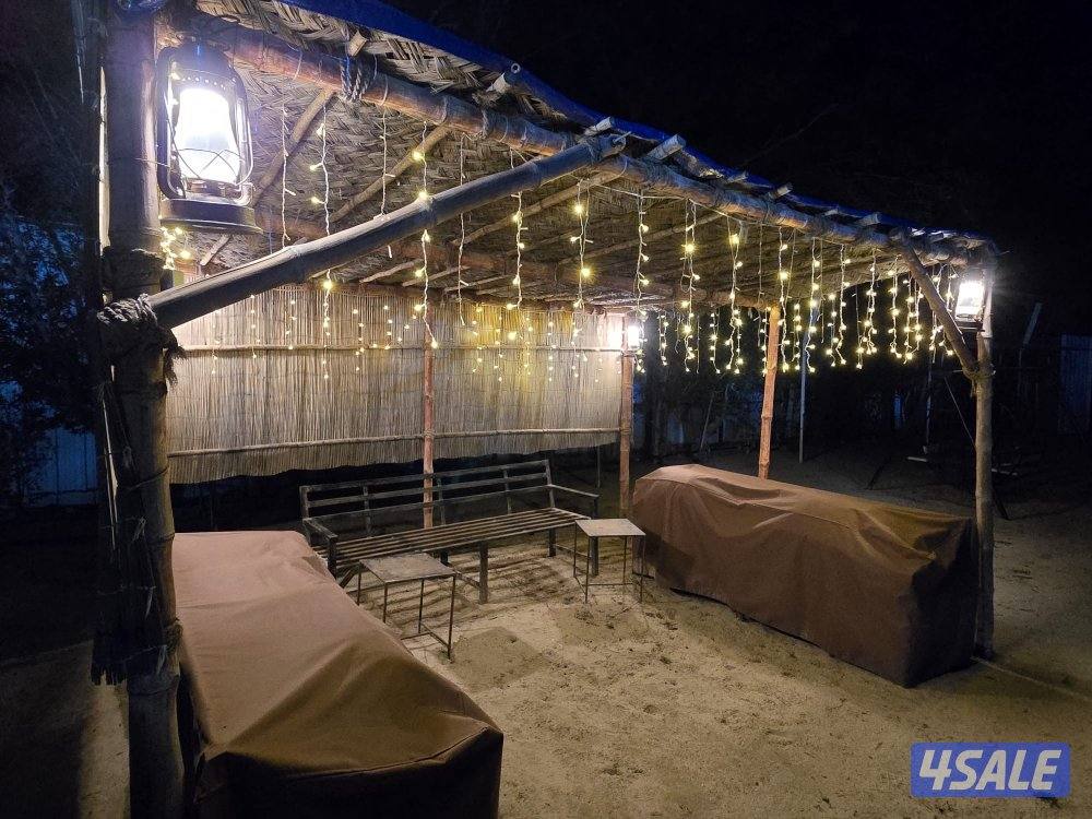 مزارع الوفرة7