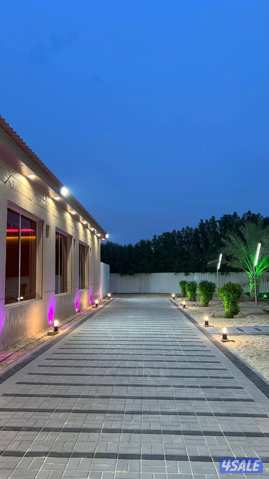 مزارع الوفرة9