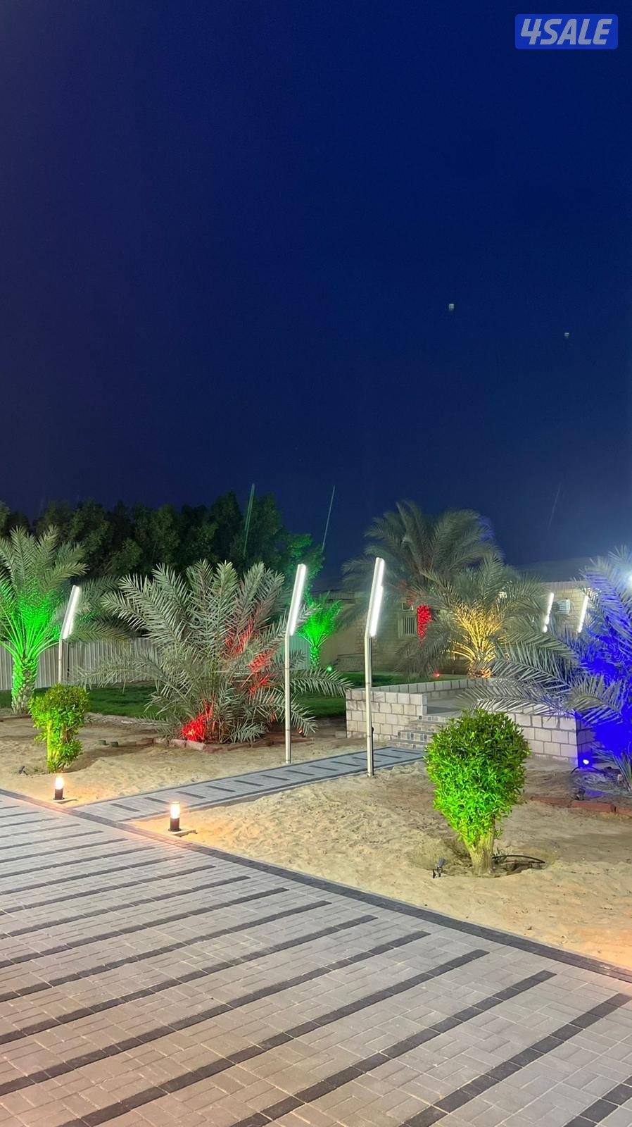 مزارع الوفرة8