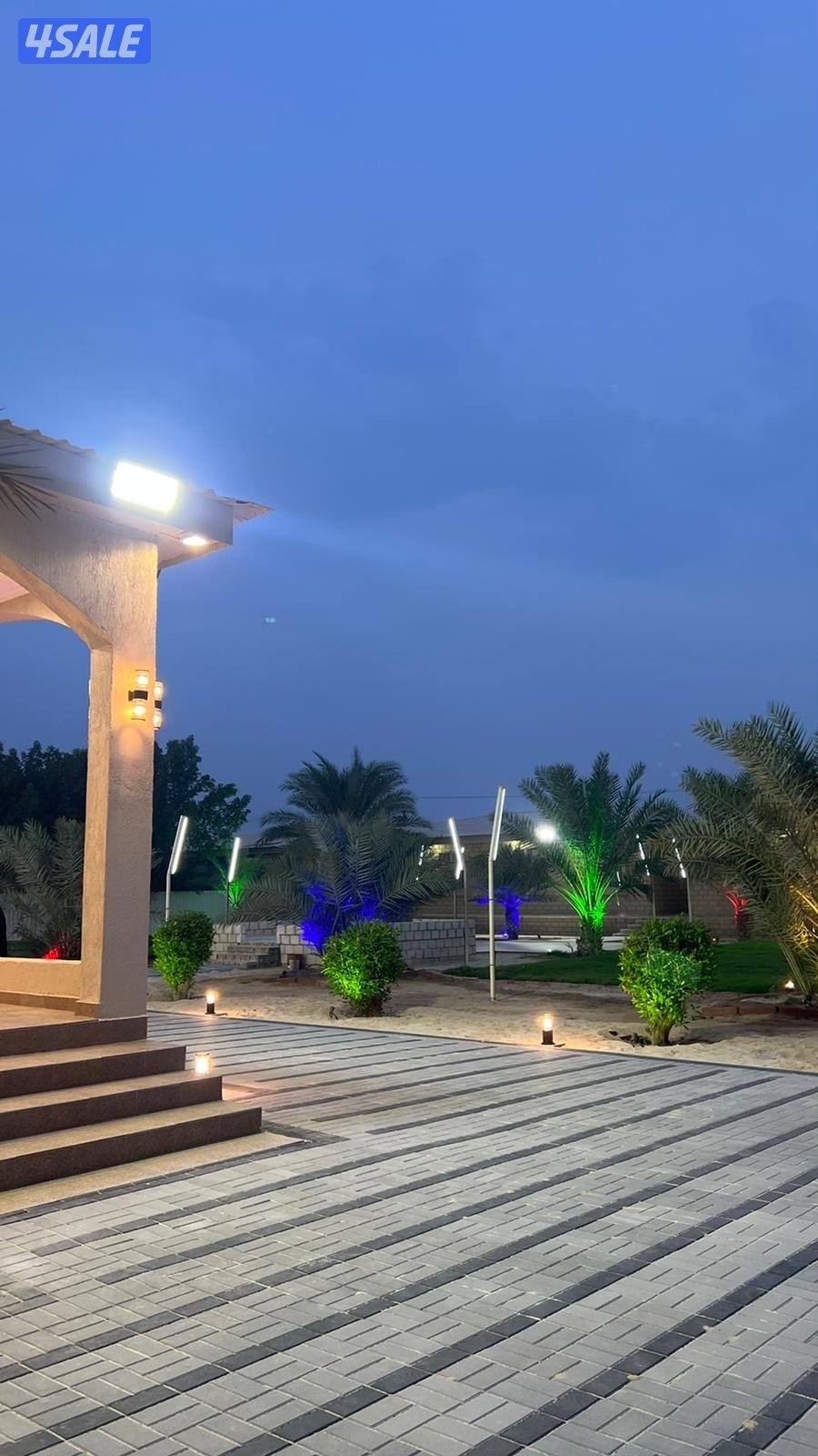 مزارع الوفرة11