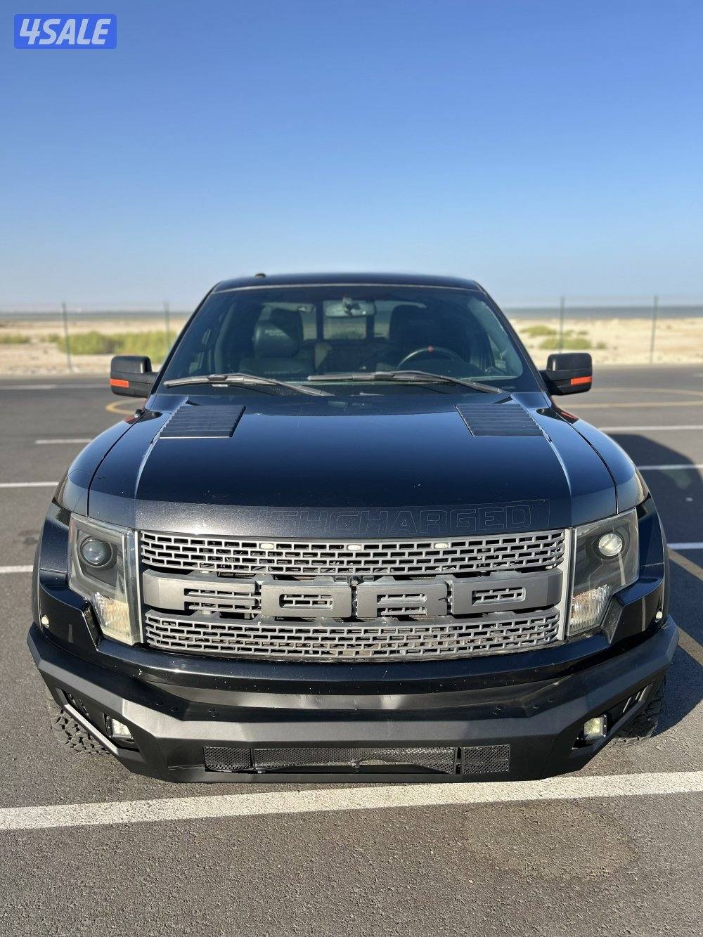 رابتر روش اصلي صبغ وكالة0