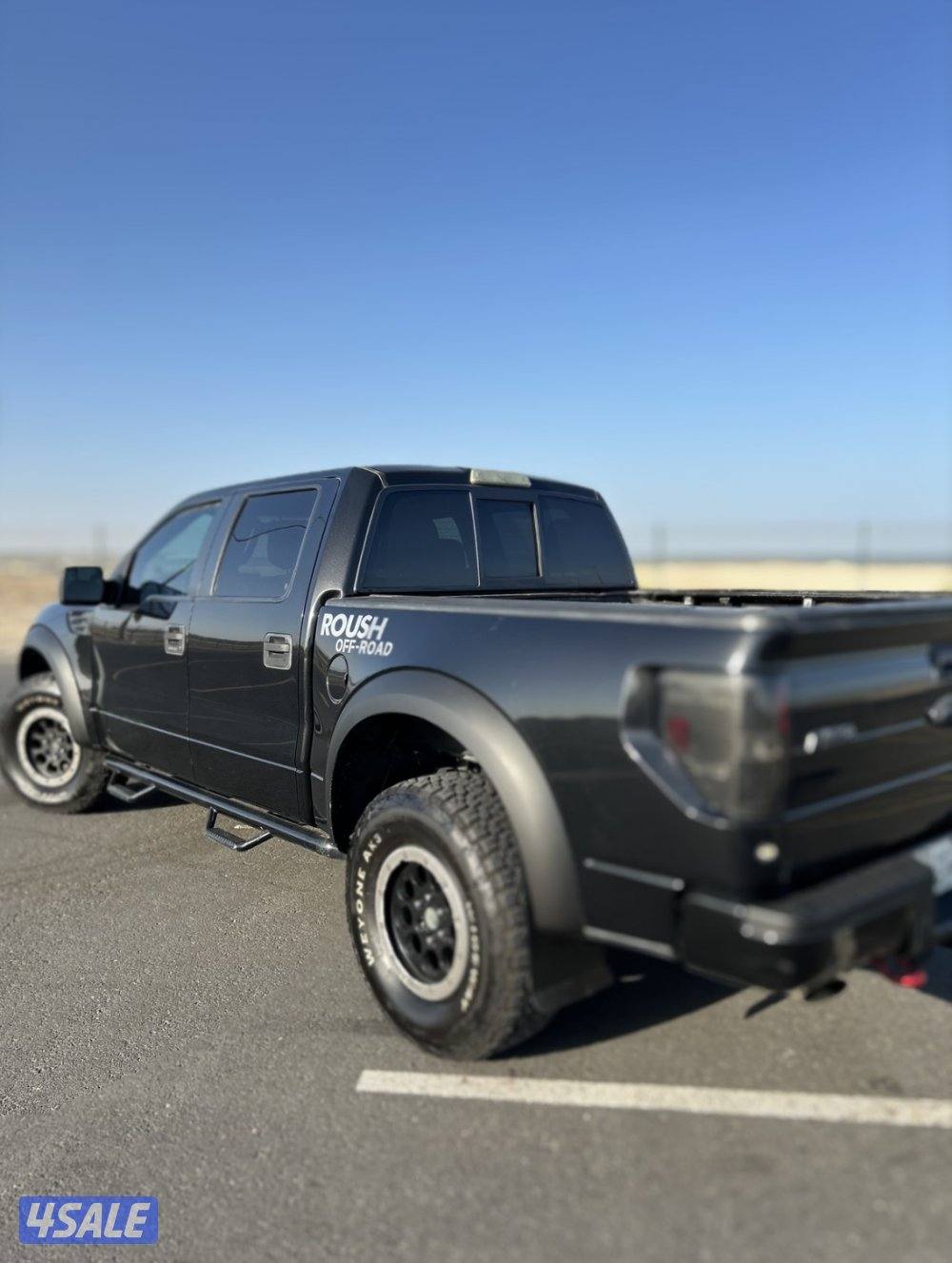 رابتر روش اصلي صبغ وكالة3