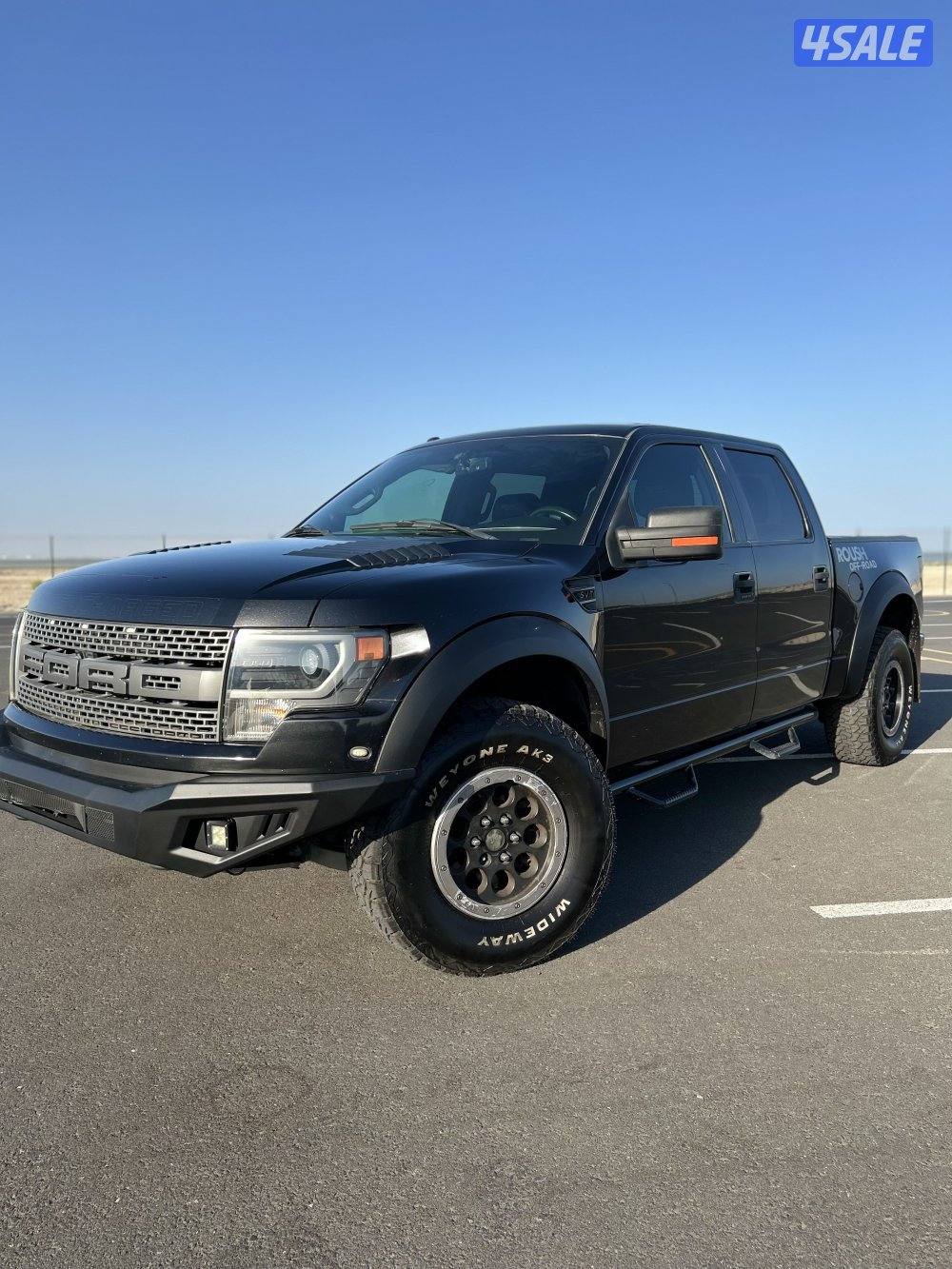 رابتر روش اصلي صبغ وكالة6