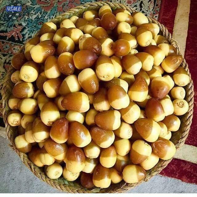 ابحث عن دوام جزئي لدي سياره0