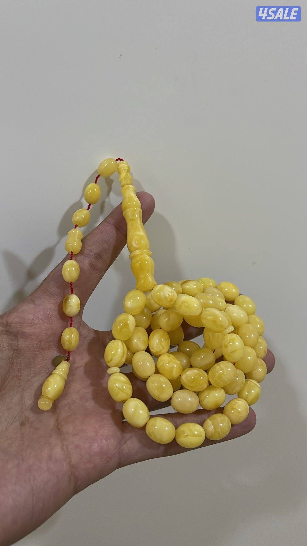 بيض حمام نقتس0