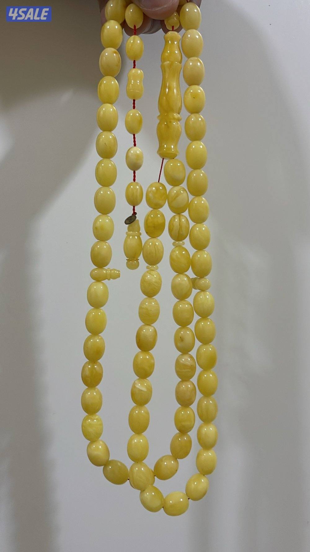 بيض حمام نقتس1