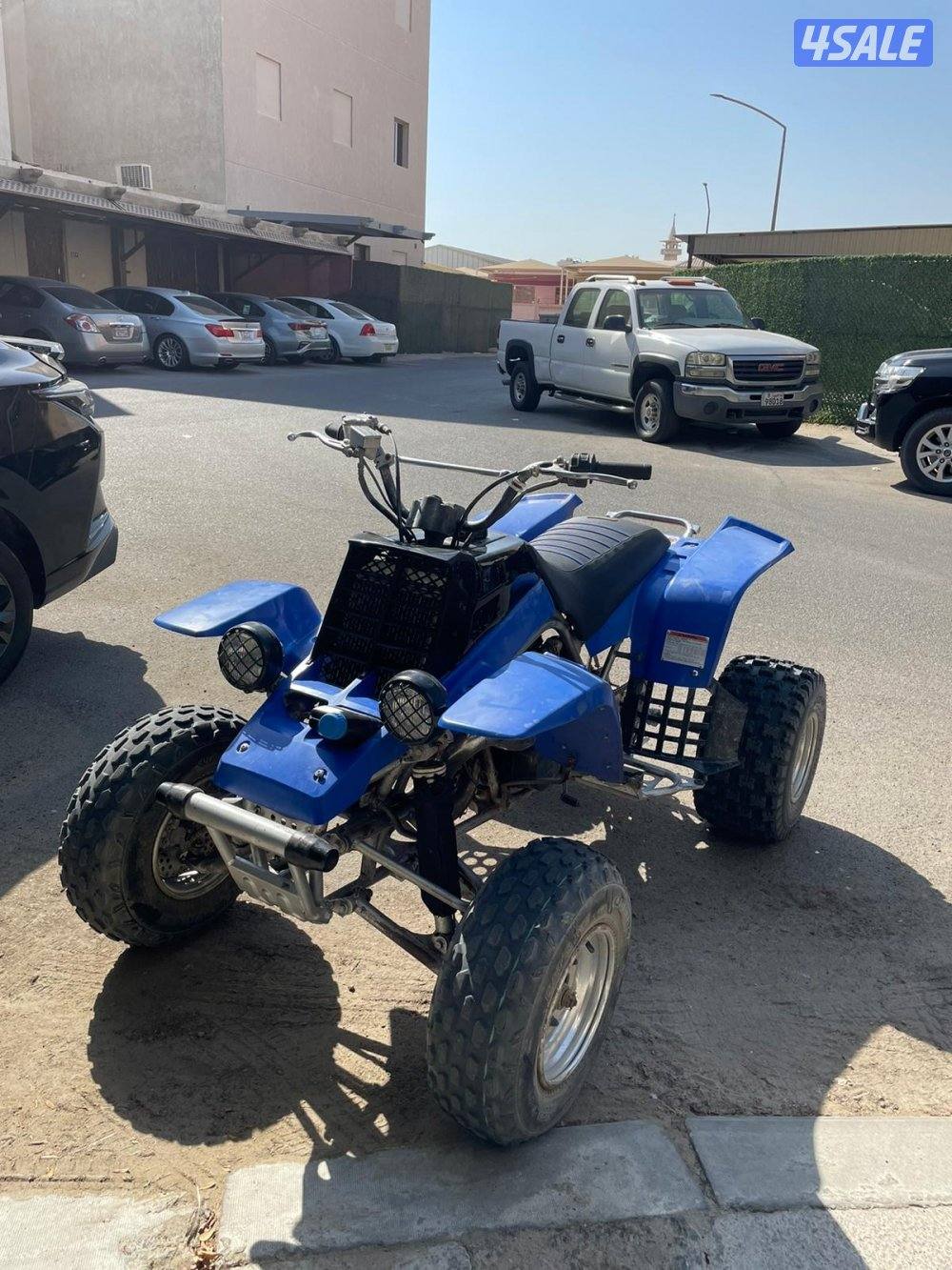 بانشي للبيع0