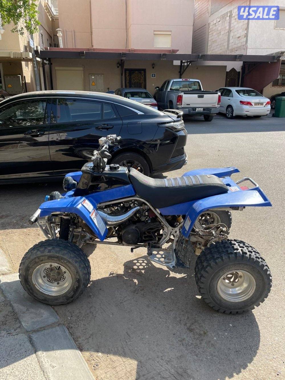 بانشي للبيع1