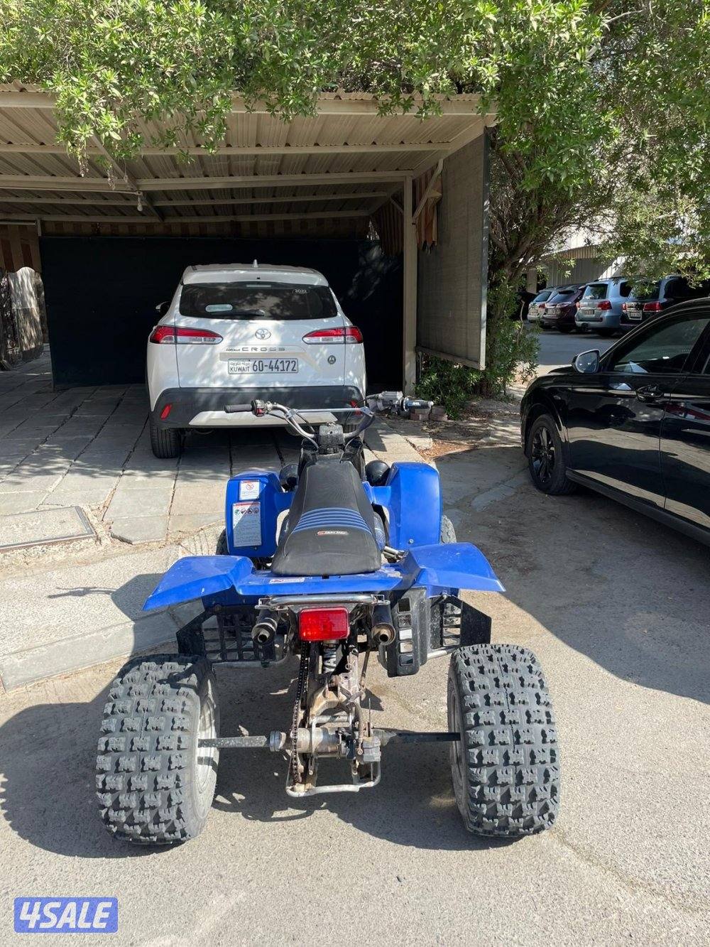 بانشي للبيع2