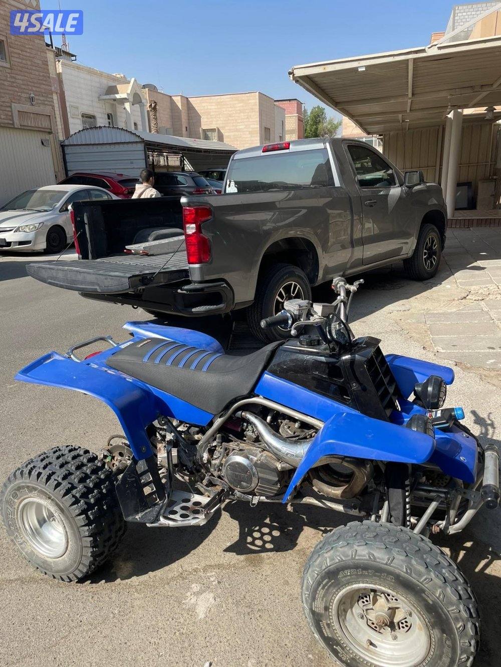 بانشي للبيع3