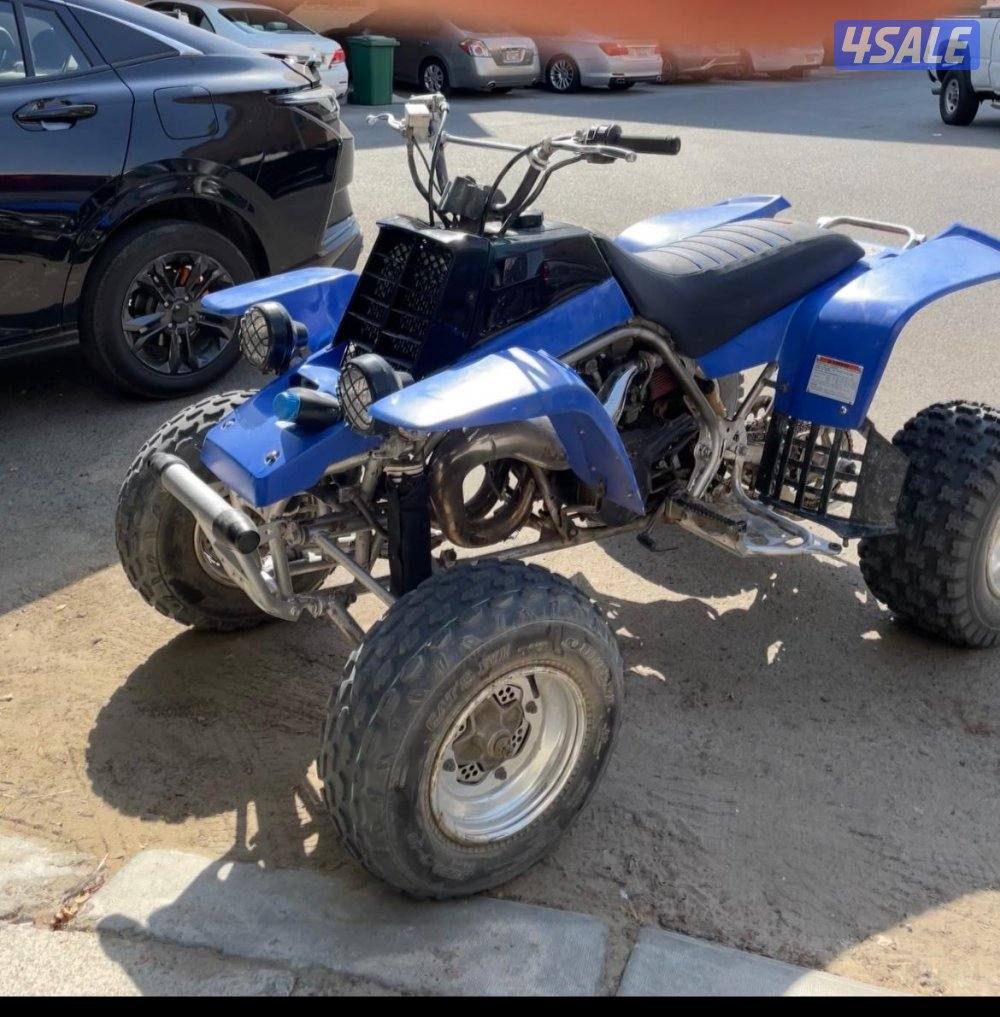 بانشي للبيع4