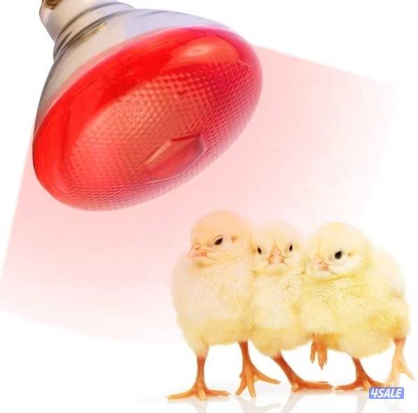 ليتات حراريه تدفئه0