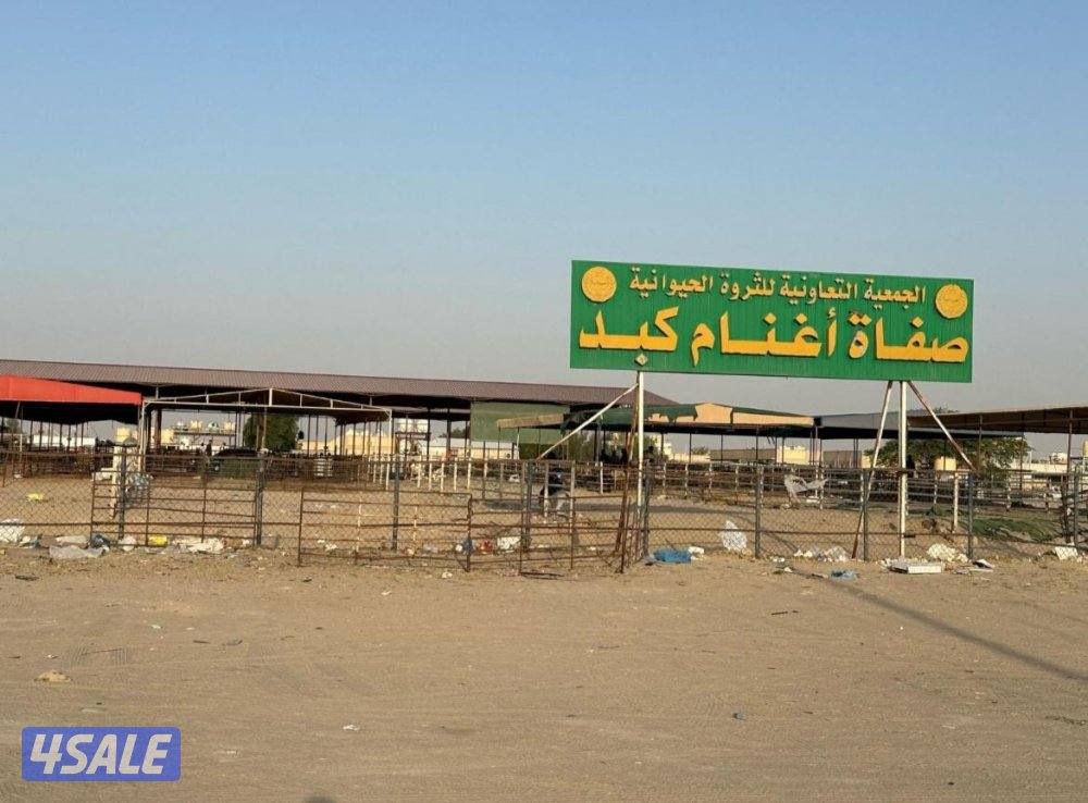 مطلوب ربع نص جاخور0