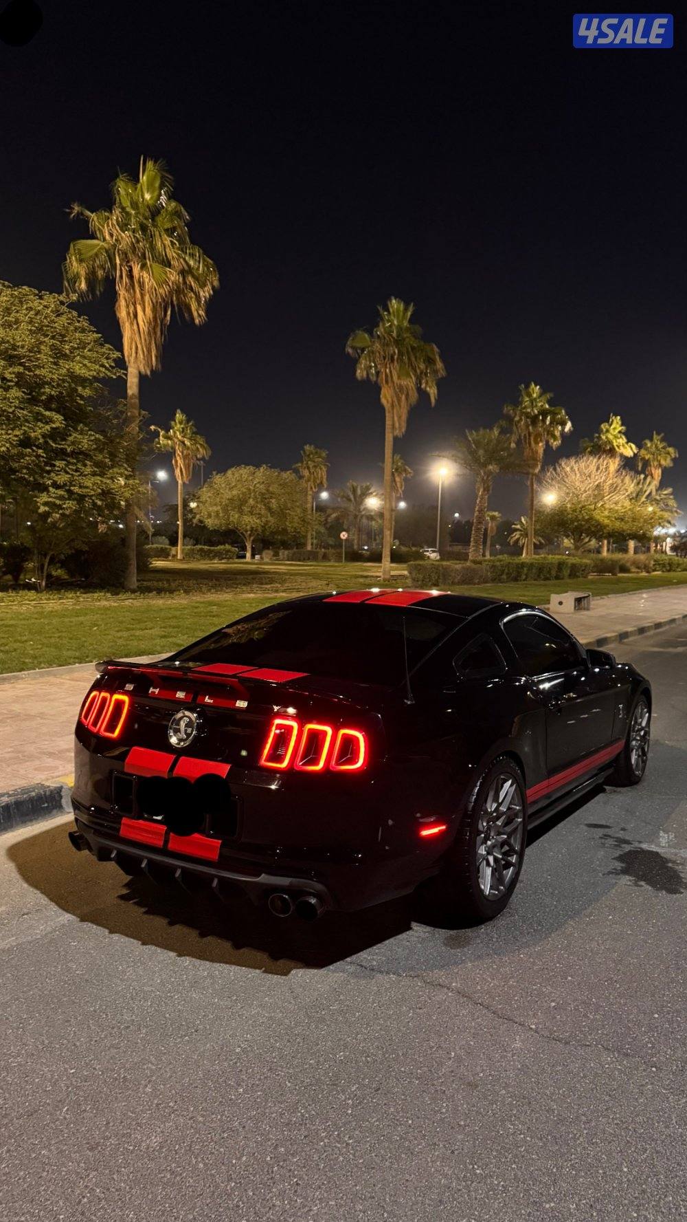 موستنق قير عادي0