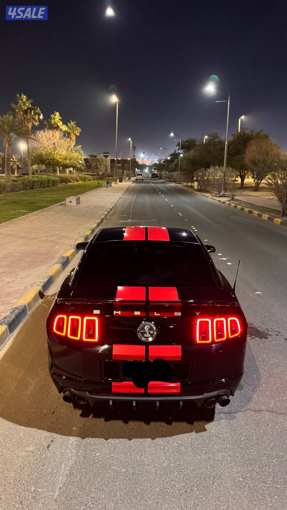 موستنق قير عادي2