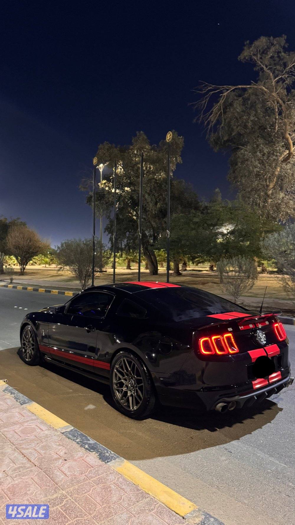 موستنق قير عادي3