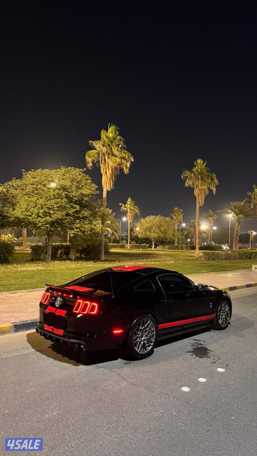 موستنق قير عادي5