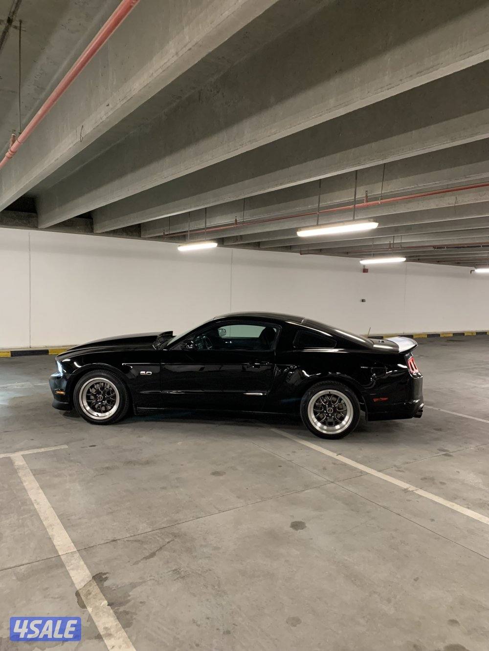 موستنق 5.0 / 2011 اسبشل كلفورنيا الموتر حالته جيده1