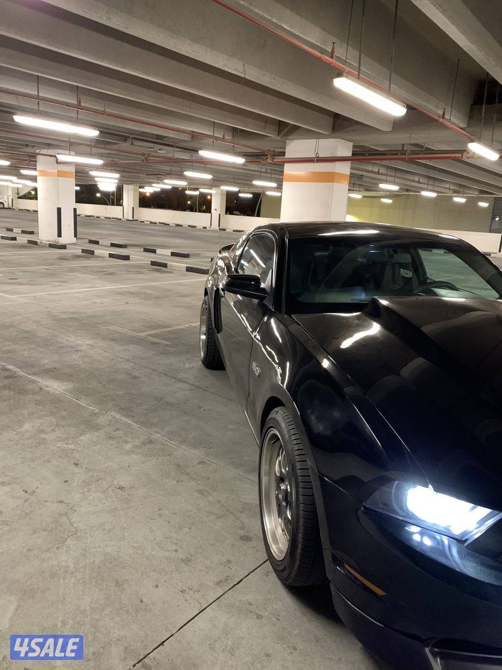 موستنق 5.0 / 2011 اسبشل كلفورنيا الموتر حالته جيده4