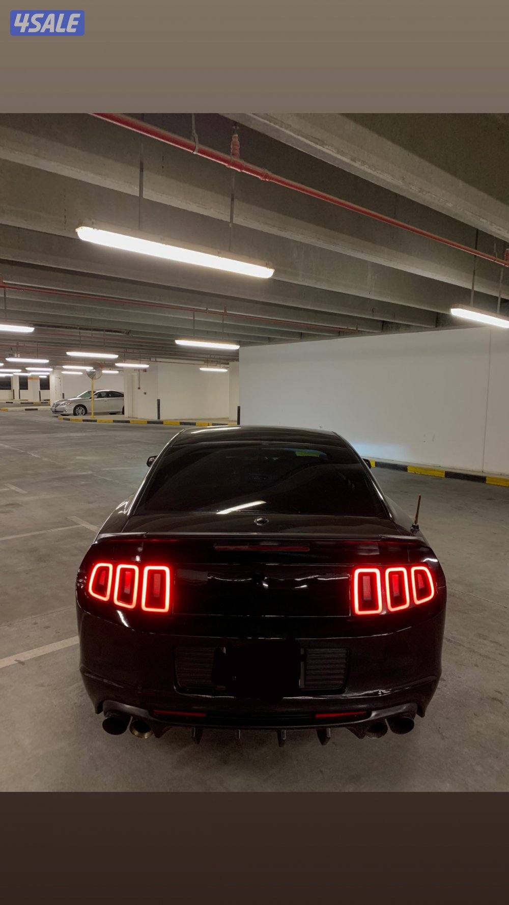 موستنق 5.0 / 2011 اسبشل كلفورنيا الموتر حالته جيده5