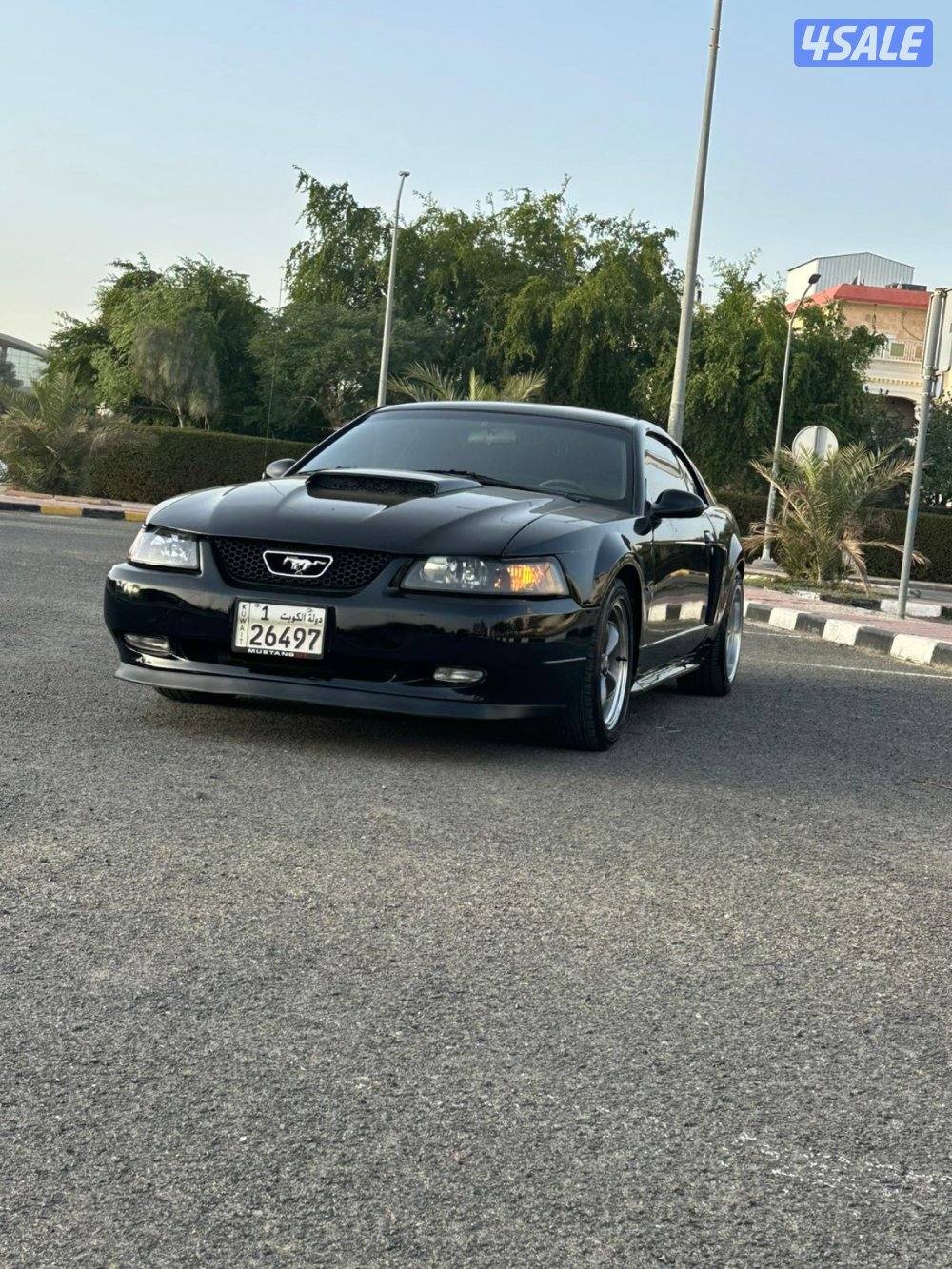 فورد موستنق0