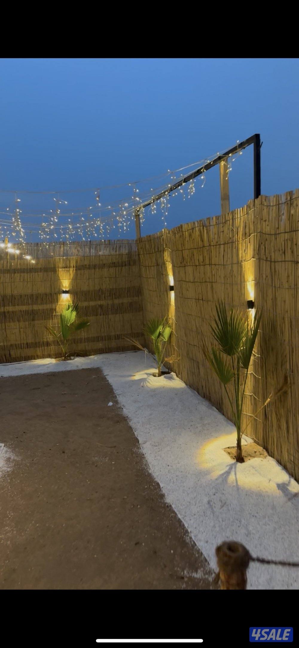 كشته كرفان8