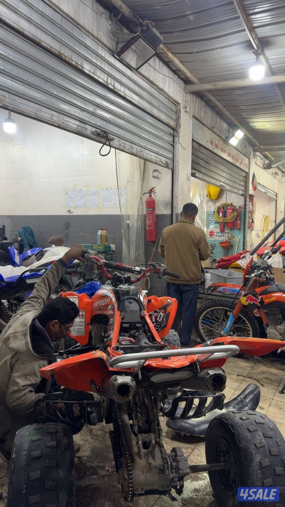 قزوز dmc للبيع0